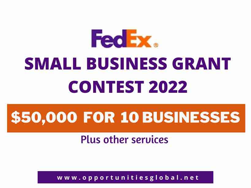 fedEx small business grant