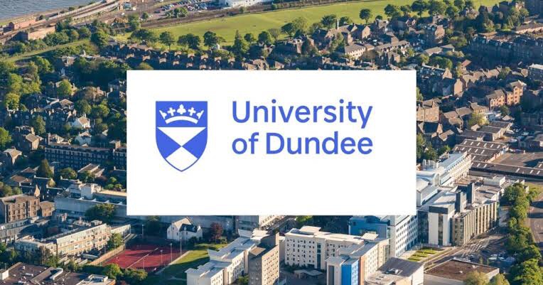 dundee global excellence scholarship
