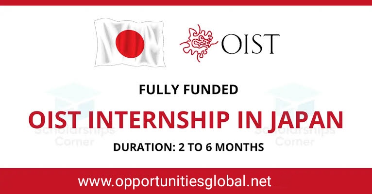 OIST Internship in Japan 2024