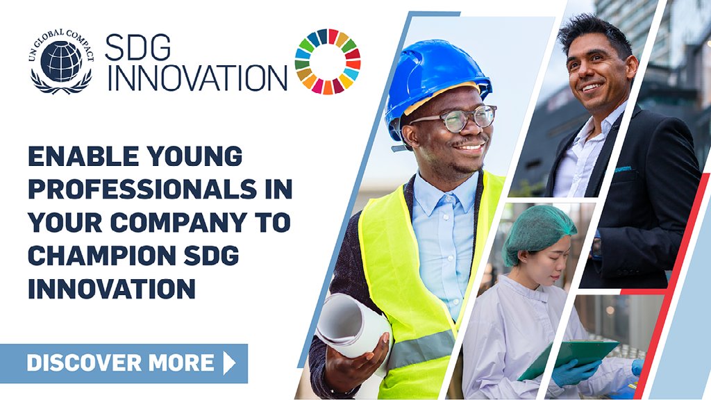 SDG Innovation Accelerator for Young Professionals