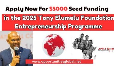 Tony Elumelu Grant