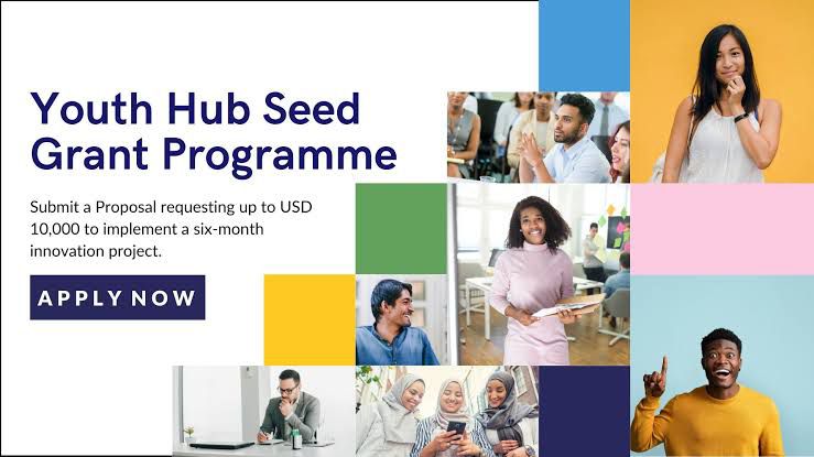 Youth Seed Hub Programme