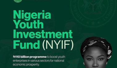 Nigerian Youth Investment Fund