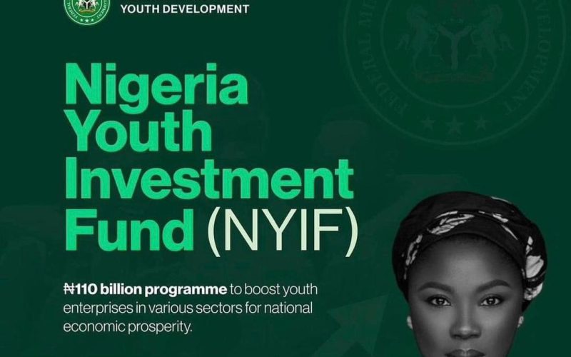 Nigerian Youth Investment Fund