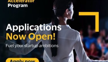 Visa Accelerator Program