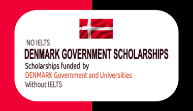 denmark government scholarship